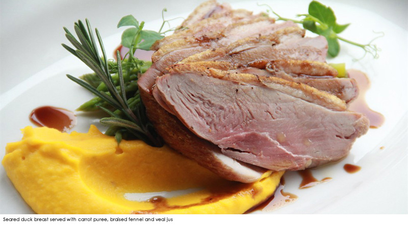 Seared duck breast served with carrot puree, braised fennel and veal jus